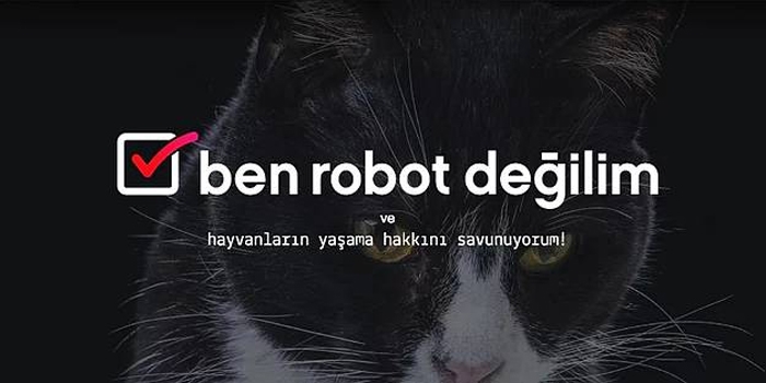 Project House'un "Ben Robot Değilim" işi yurtdışına gidiyor